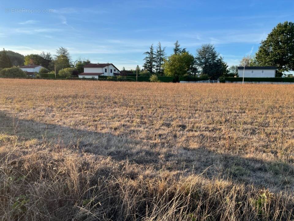 Terrain à CASTRES