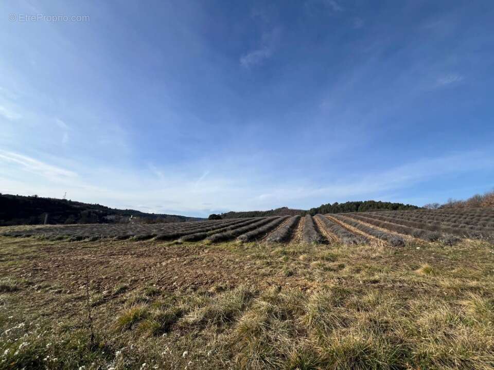 Terrain à ROUMOULES