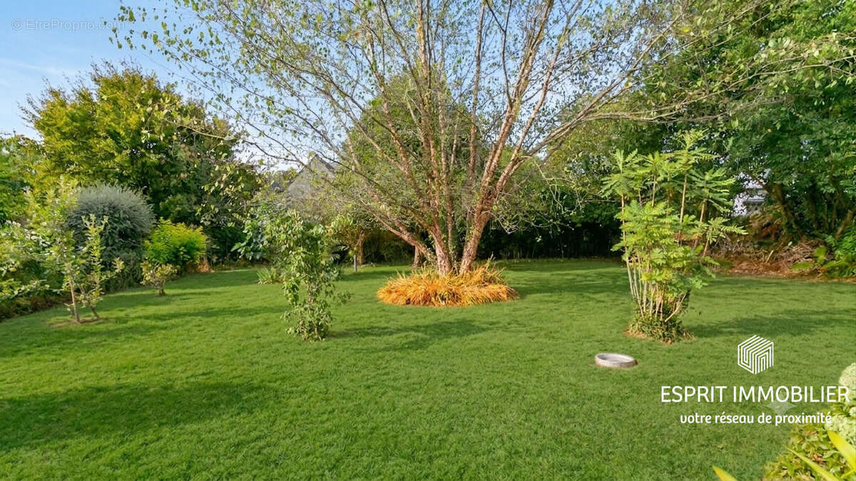 Pont Aven : maison 4 chambres, vie de plain pied, 1000m² de jardin - photo 2