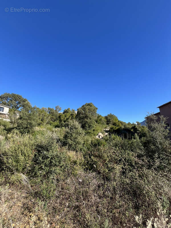 Terrain à TAVACO