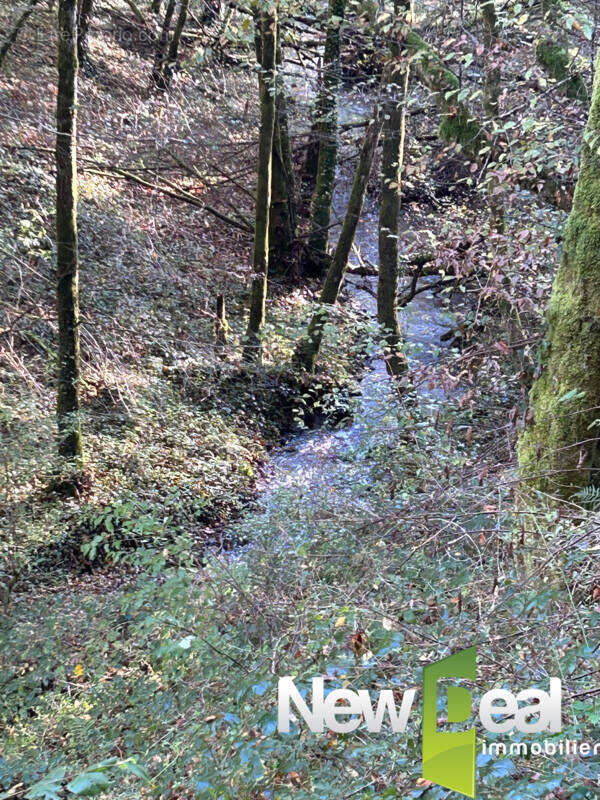 Maison à ARNAC-POMPADOUR