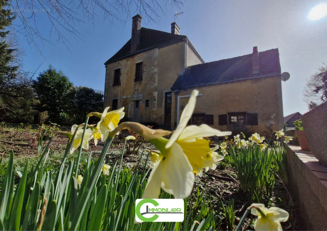 Maison de caractere - photo 3