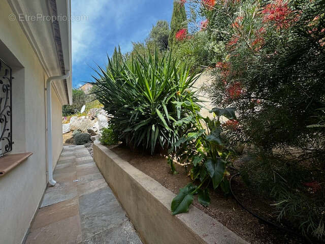 Maison à SANTA-REPARATA-DI-BALAGNA