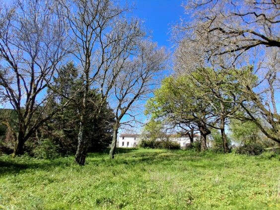 Maison de village, entièrement réhabilitée, où la pierre raconte l’histoire - photo 25