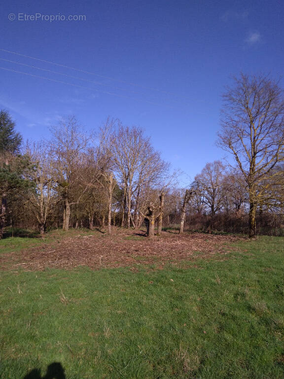 Terrain à LUSSAC-LES-CHATEAUX