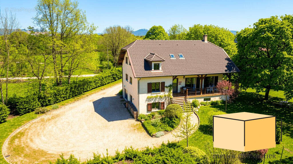 Maison à CONTREVOZ