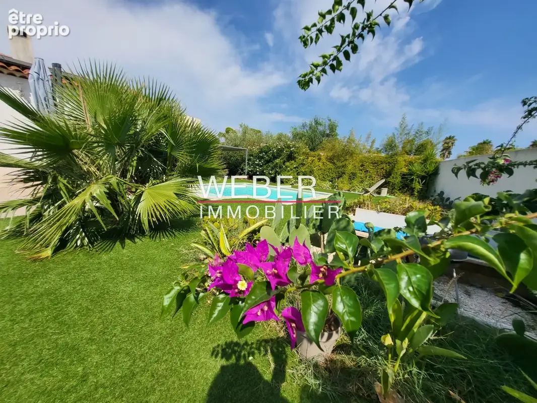 OLLIOULES - Plain pied 4 ch - Piscine - 675 m2 - photo 2