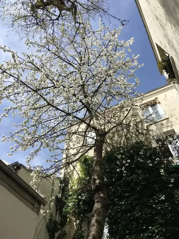 Comme une maison à Paris - Triplex d'architecte - photo 5