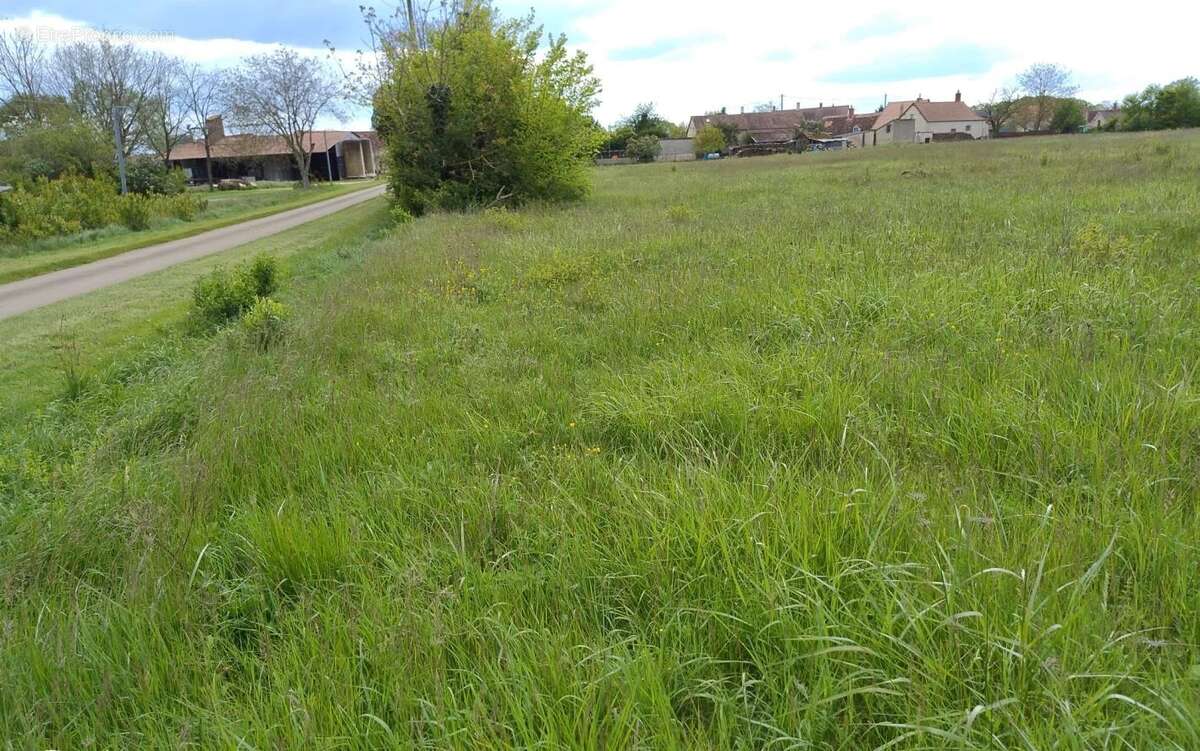 Terrain à OSMERY
