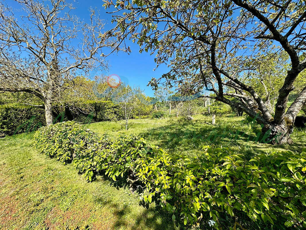 Maison à MOUSSEAUX-SUR-SEINE