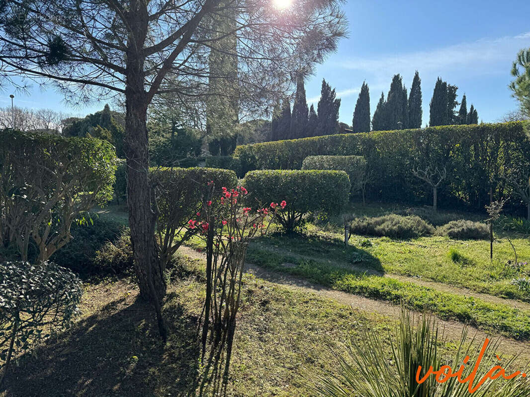 Terrain à CARCASSONNE