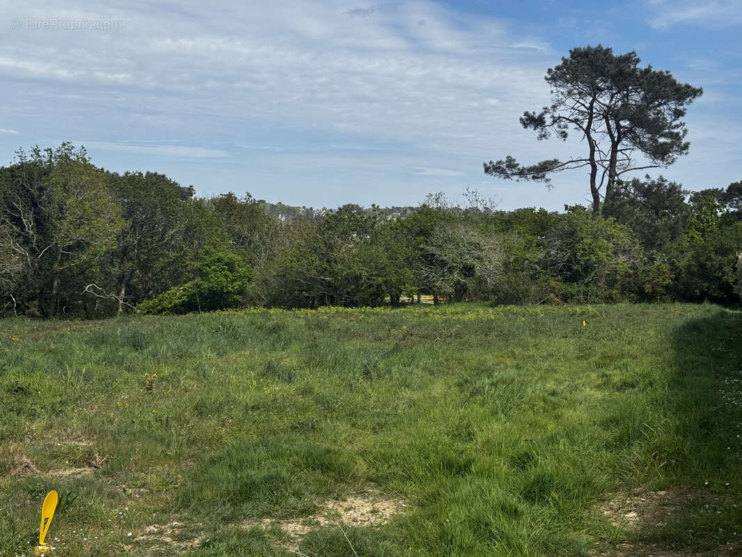 Terrain à CROZON