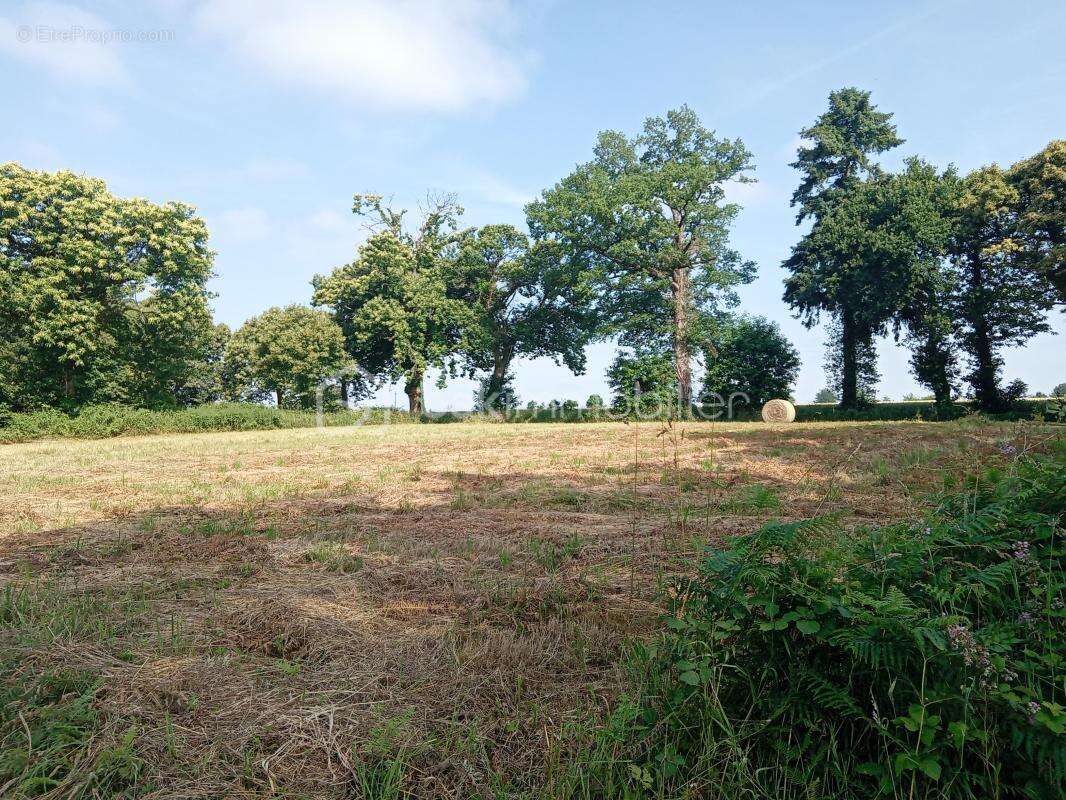 Terrain de 2756 m2-Les Portes du Coglais-Localisation exacte et dossier complet sur demande - photo 3