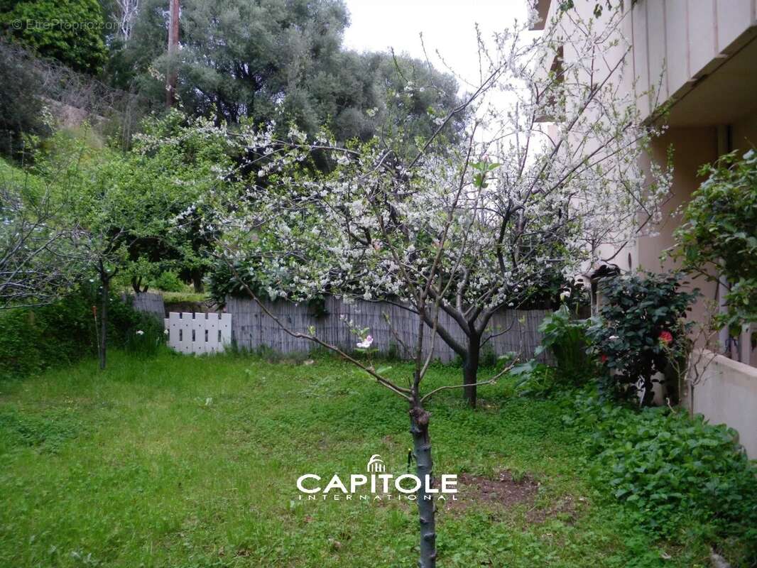 Appartement à AJACCIO