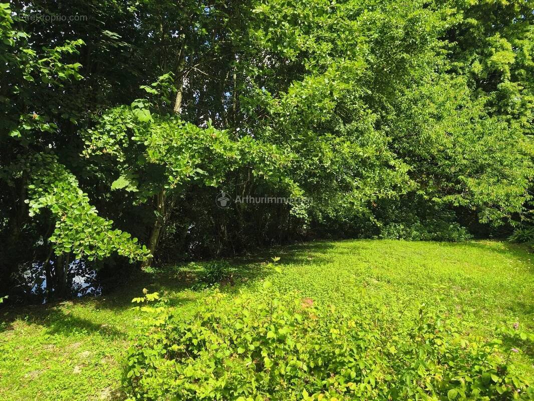 Terrain à LA CHARTRE-SUR-LE-LOIR