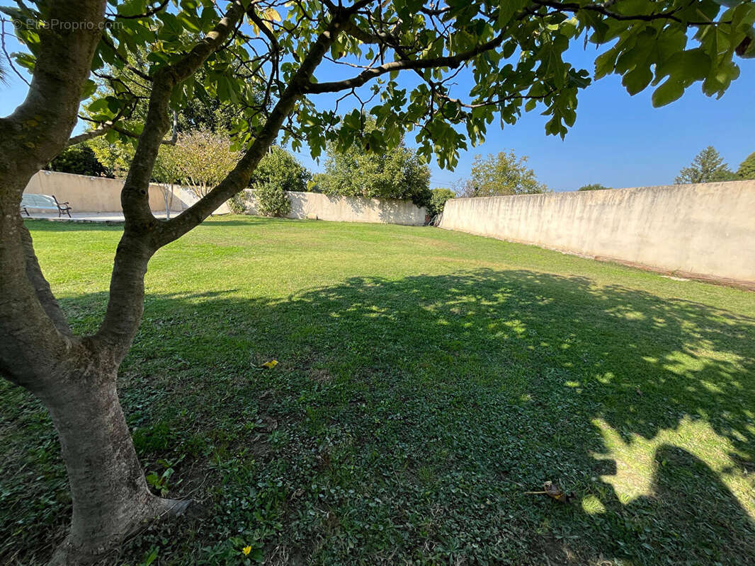 Terrain à CHEVAL-BLANC