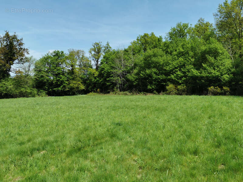 Terrain à JAVERDAT