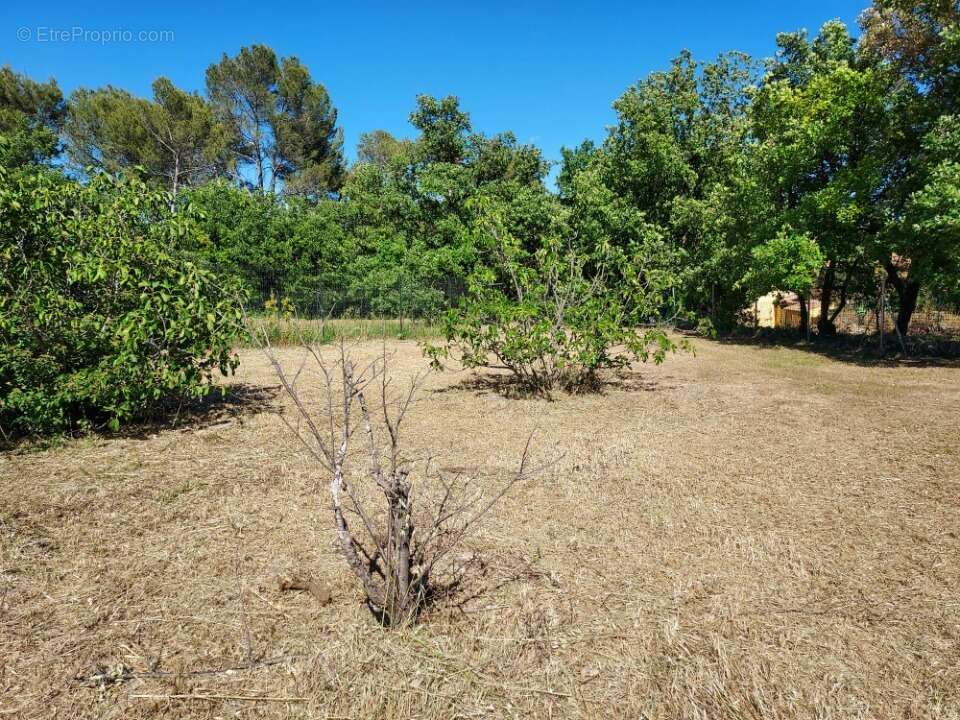 Terrain 2107 m² à Saint-Maximin-La-Sainte-Baume  - photo 2