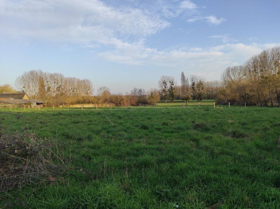 Terrain à VENDEUVRE