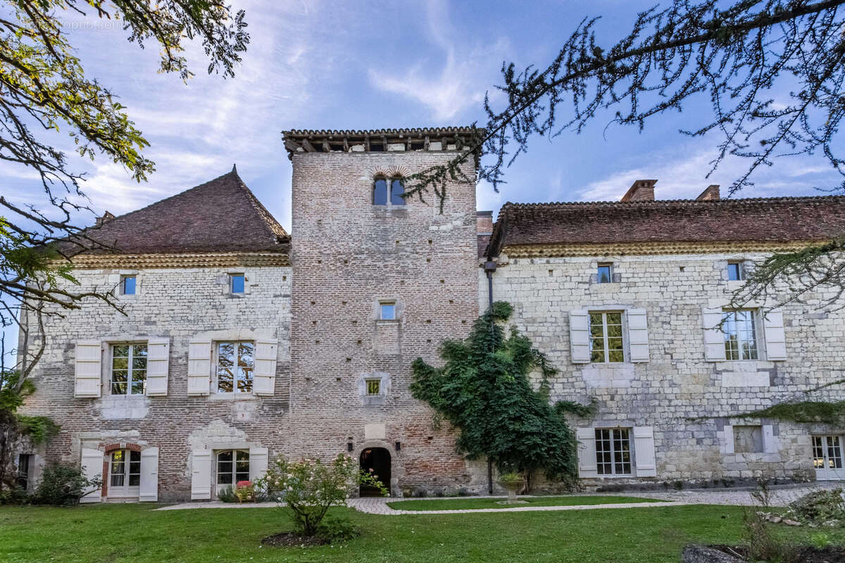 Château de luxe familial avec installations pour événements - photo 11