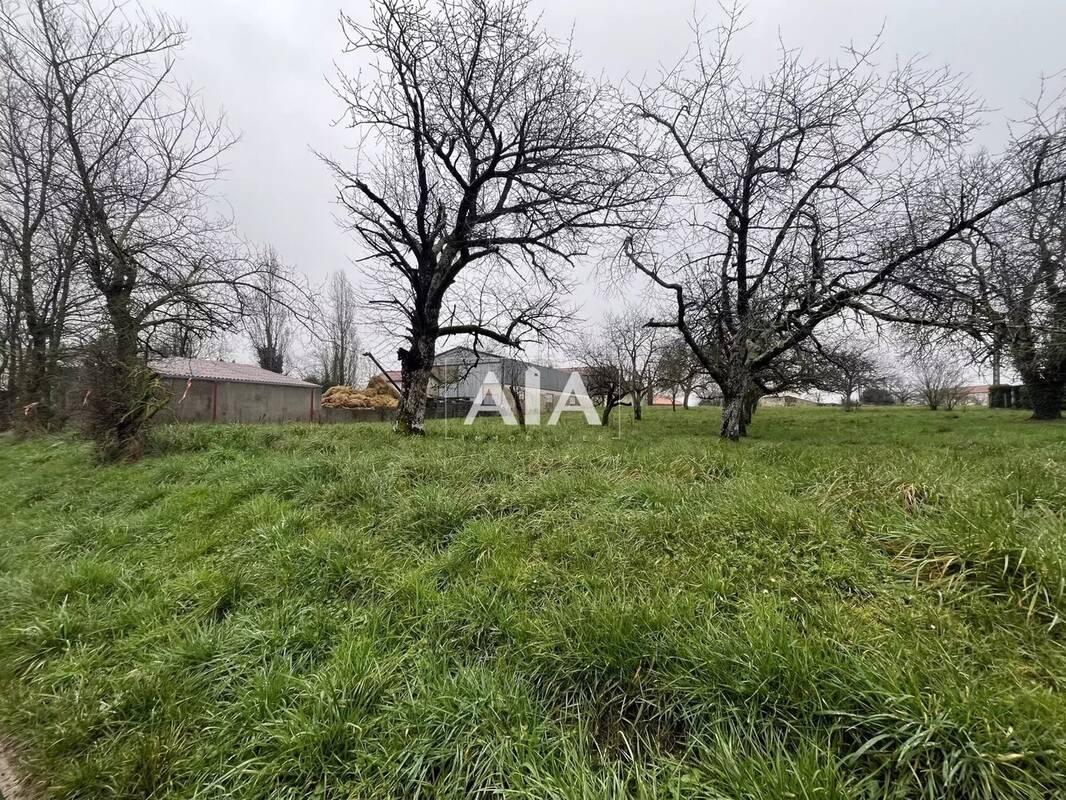 Terrain à MAINE-DE-BOIXE