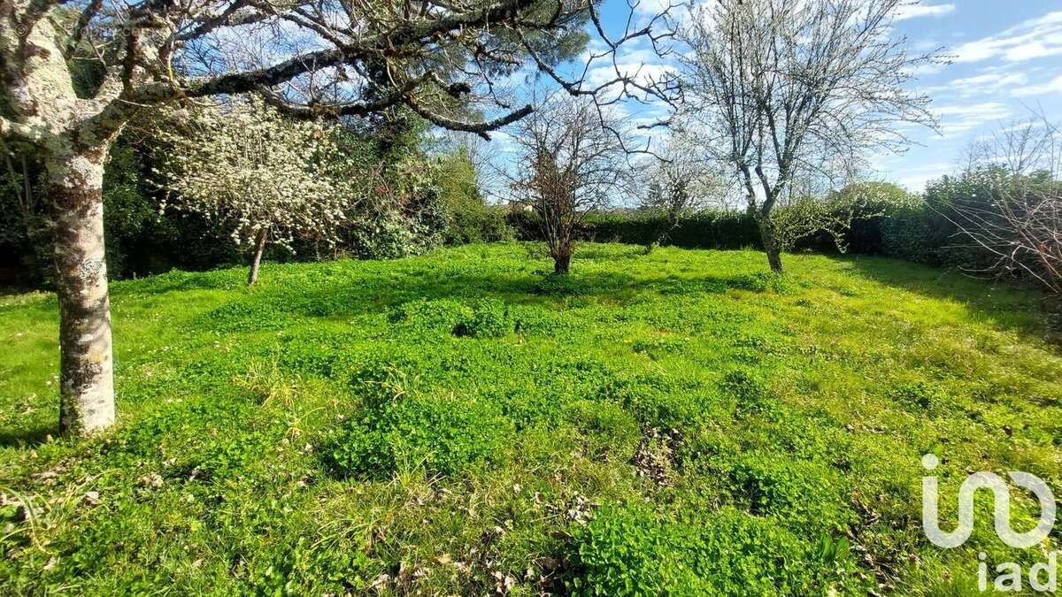 Photo 8 - Maison à LAMOTHE-MONTRAVEL