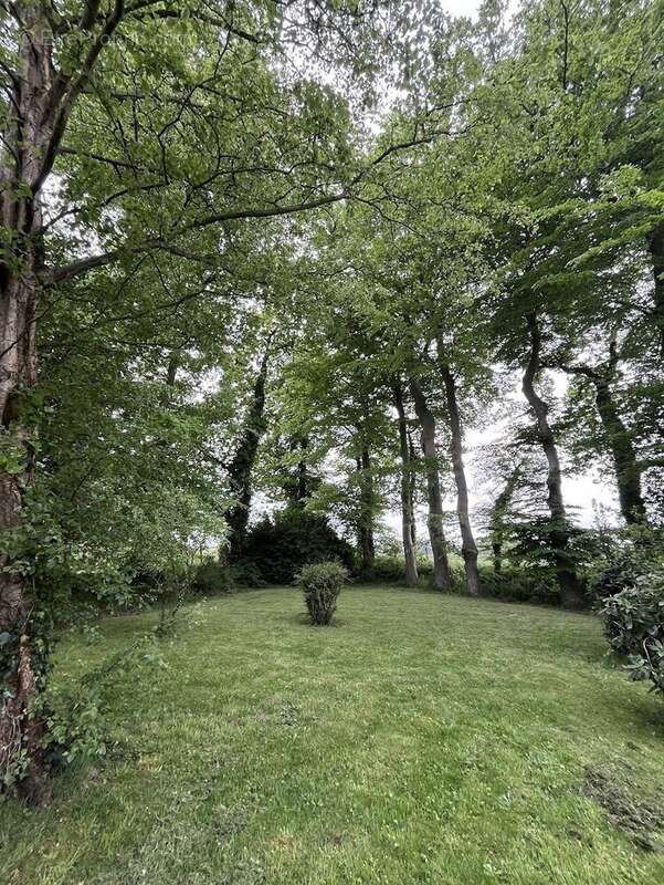 Maison 270 m² à Saint-Leonard  - photo 8