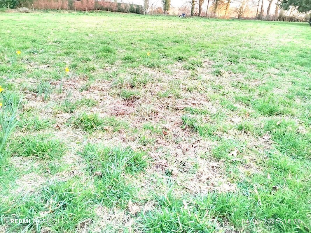 Terrain à SAINT-BRICE-EN-COGLES