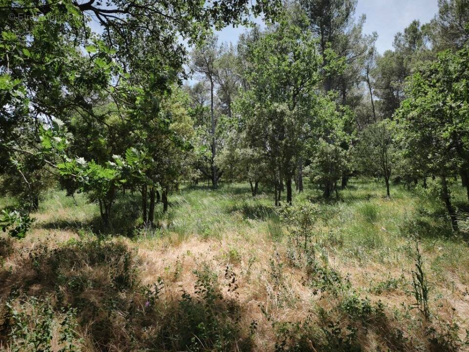 Terrain à GAREOULT
