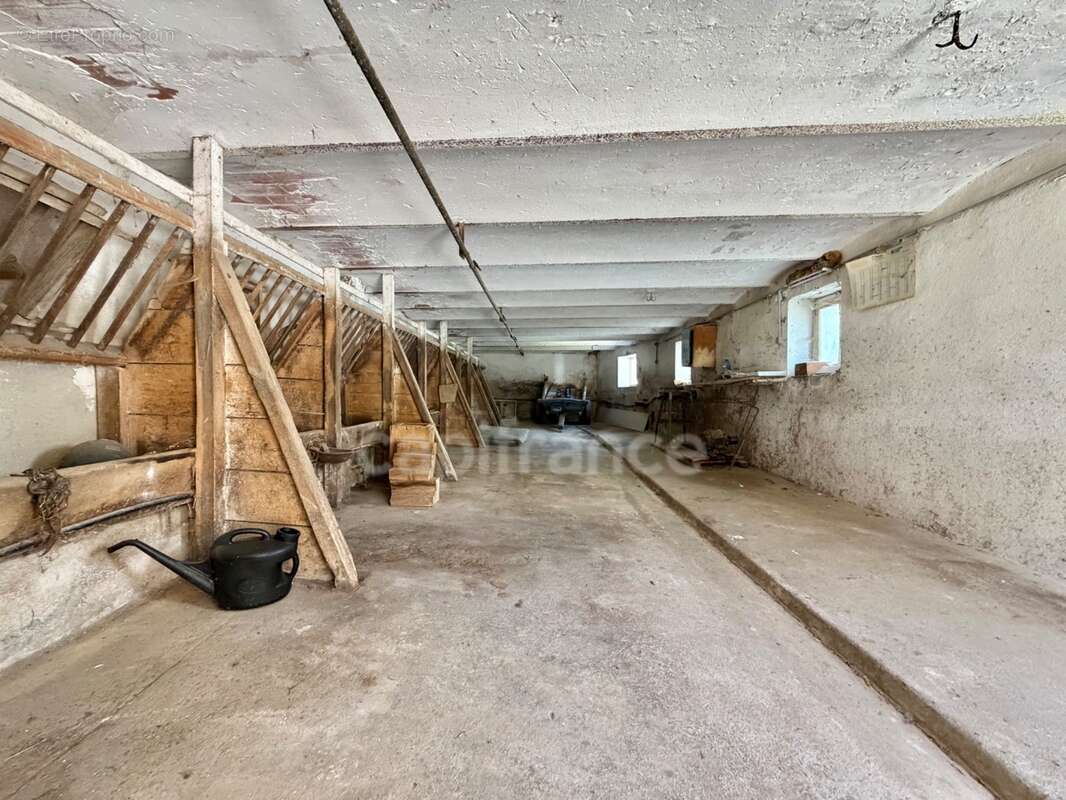 Maison de bourg de 100 m2, 3 chambres, terrain attenant de 371 m2 + 2450 m2 indépendant, 200 m2 de dépendances, caves, fibre opt - photo 18