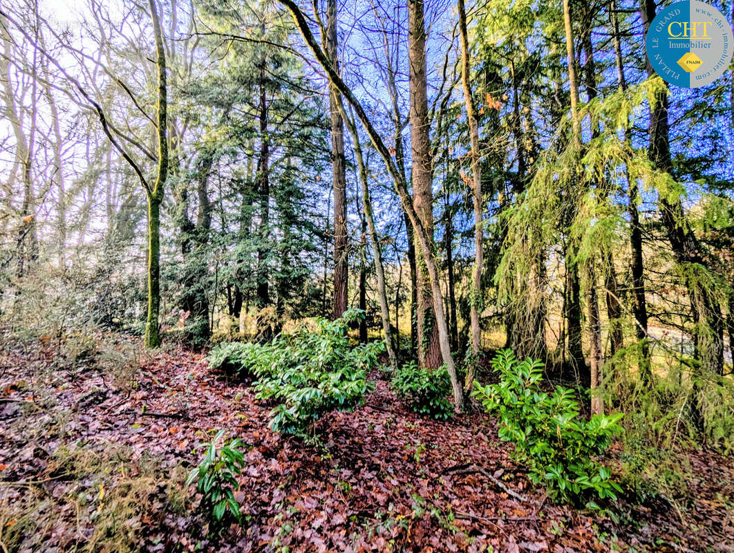 Terrain à BEIGNON
