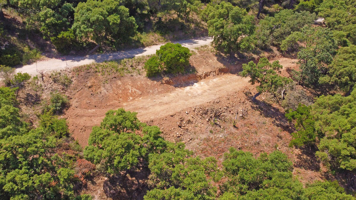 A vendre - terrain a batir 2110 m2 - carqueiranne - photo 2