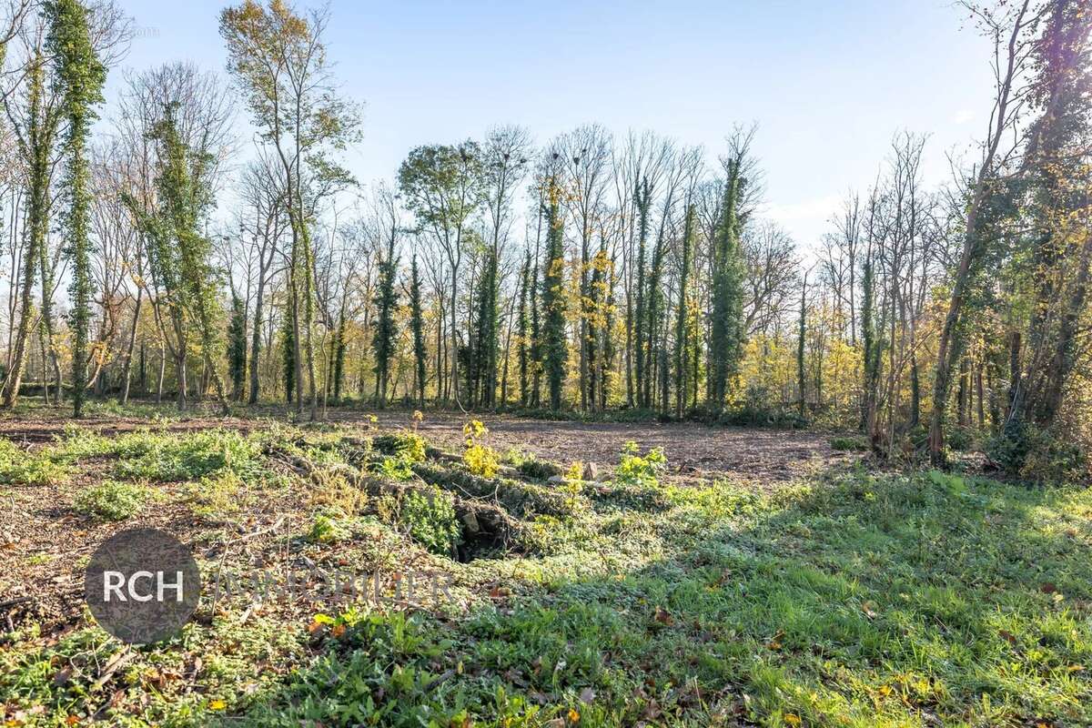 Terrain à MONTFORT-L&#039;AMAURY