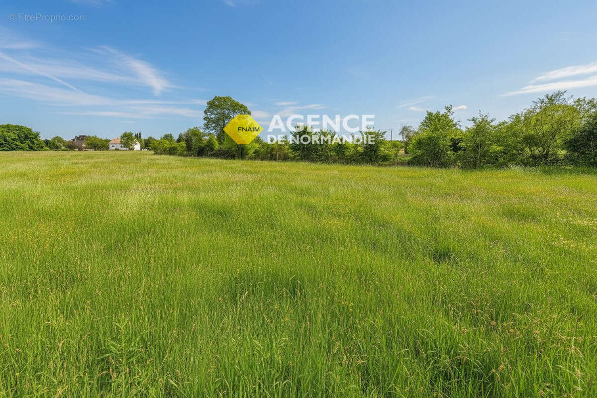 Terrain à MONTREUIL-L'ARGILLE