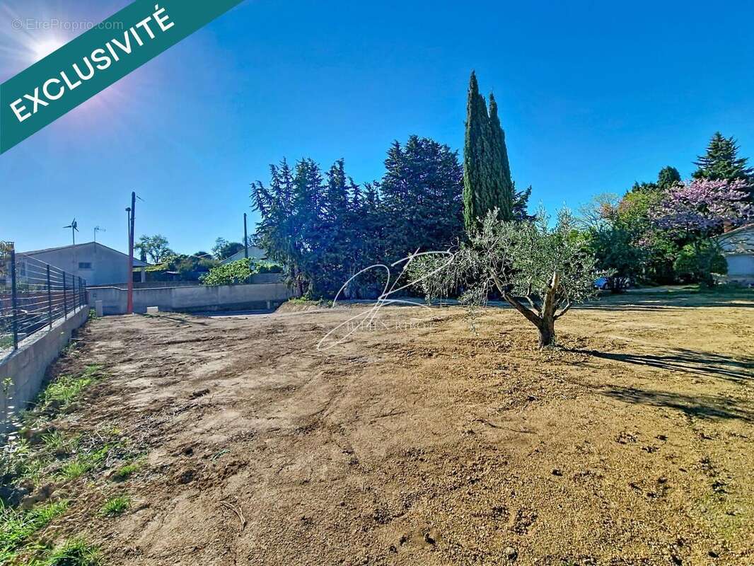 Photo 5 - Terrain à PUIMISSON