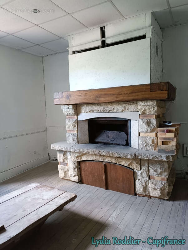 Maison de maître de 10 pièces avec terrain RARE à Thiers (63300) - photo 6