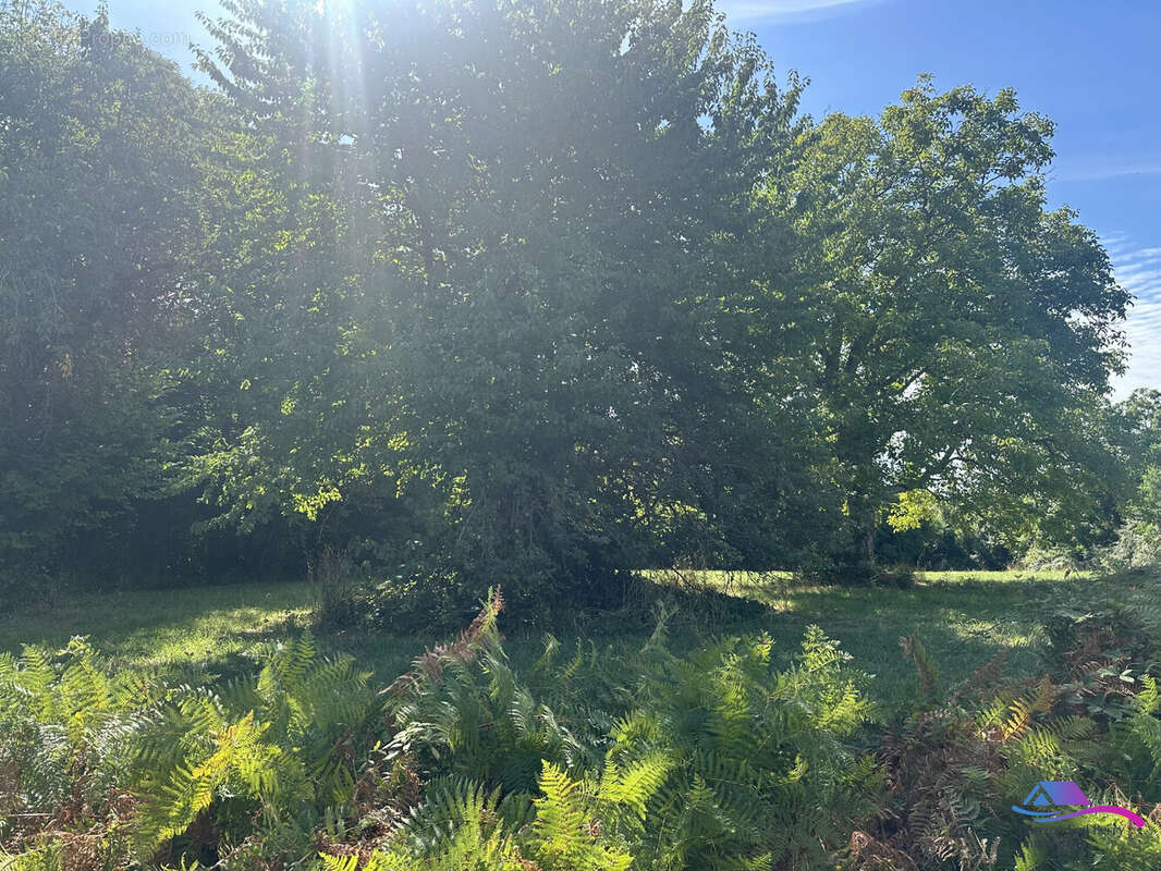 Terrain à SIDIAILLES