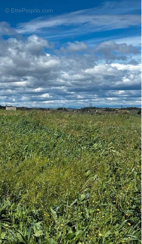 Terrain à LEZIGNAN-CORBIERES