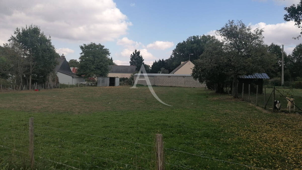Terrain à NOZAY