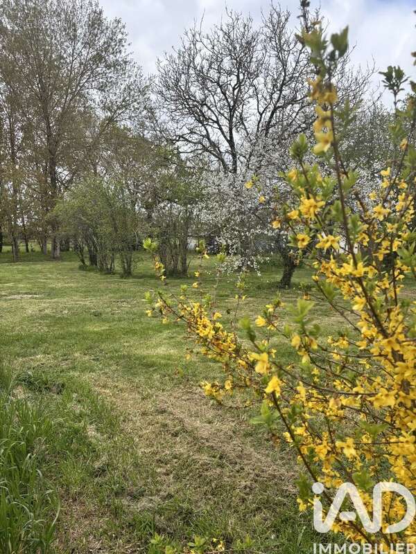 Photo 2 - Maison à MEDIS