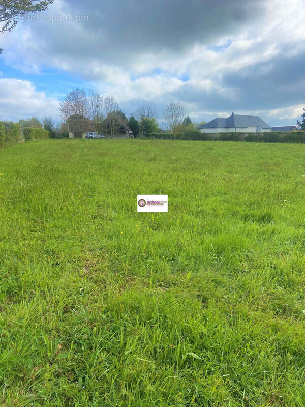Terrain à LE MELE-SUR-SARTHE