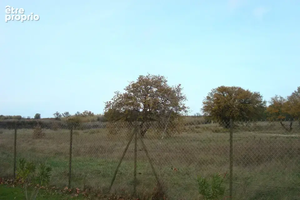 Terrain à VILLEMOLAQUE