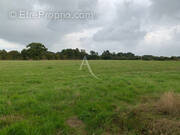 Terrain à SAINT-BREVIN-LES-PINS