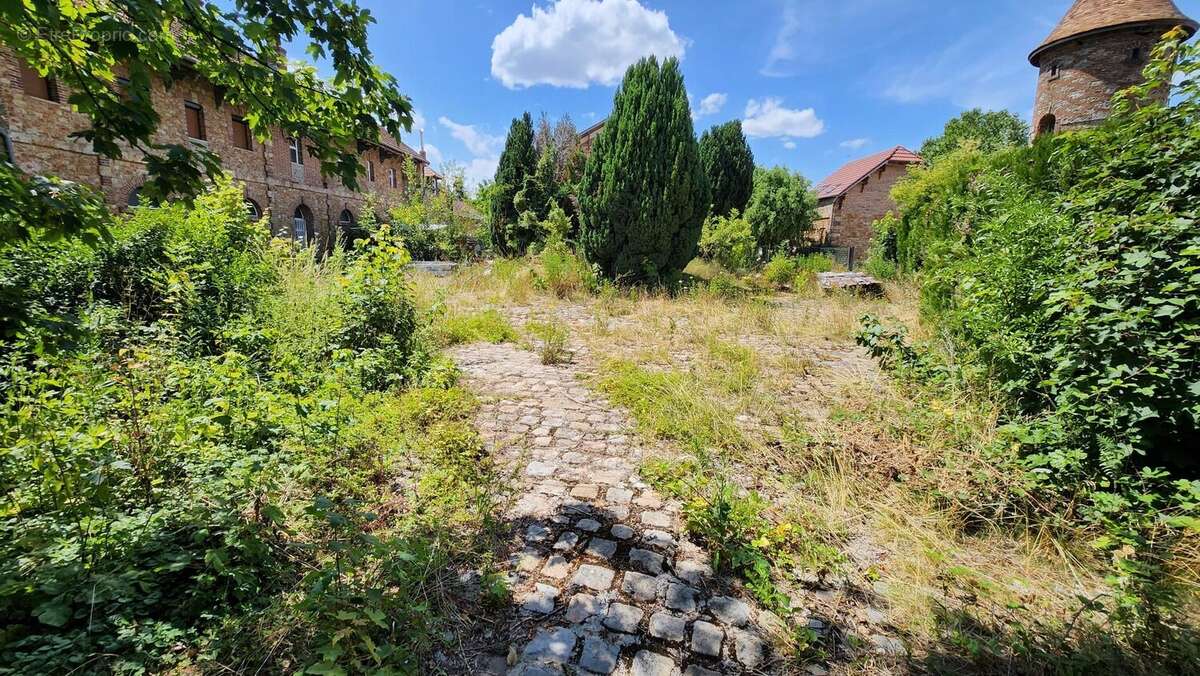 Terrain à BRIIS-SOUS-FORGES