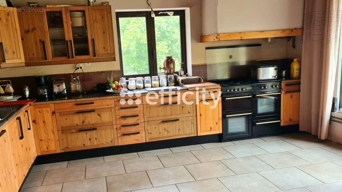 Maison 195 m² à Le Noyer  - photo 22