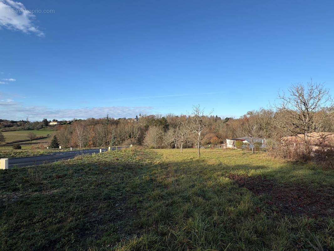 Terrain à CHAMPCEVINEL
