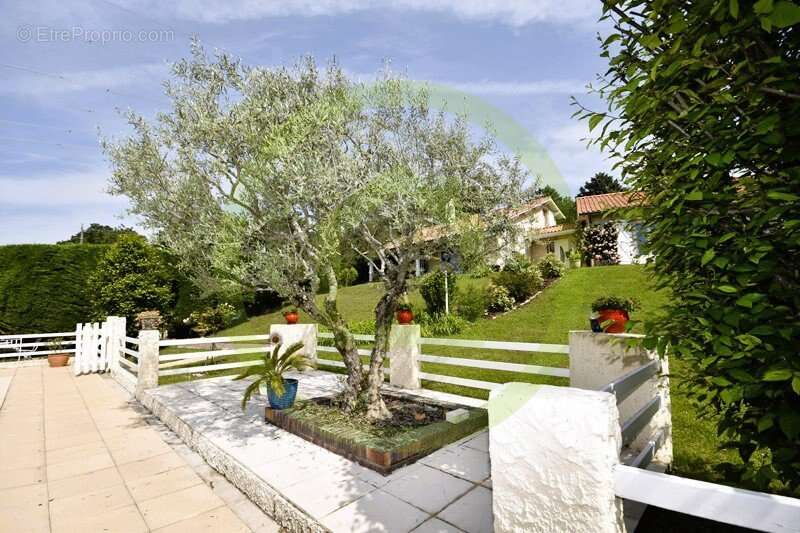 Maison à BELLEGARDE-POUSSIEU