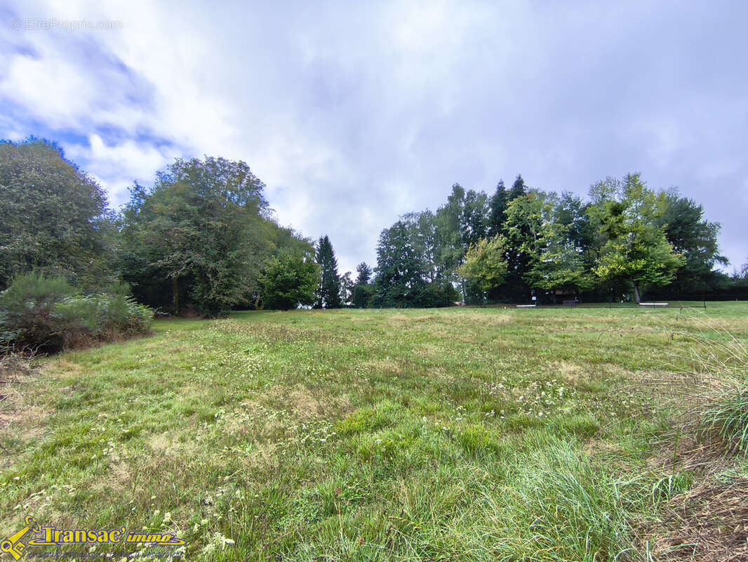 Terrain à SAINT-REMY-SUR-DUROLLE