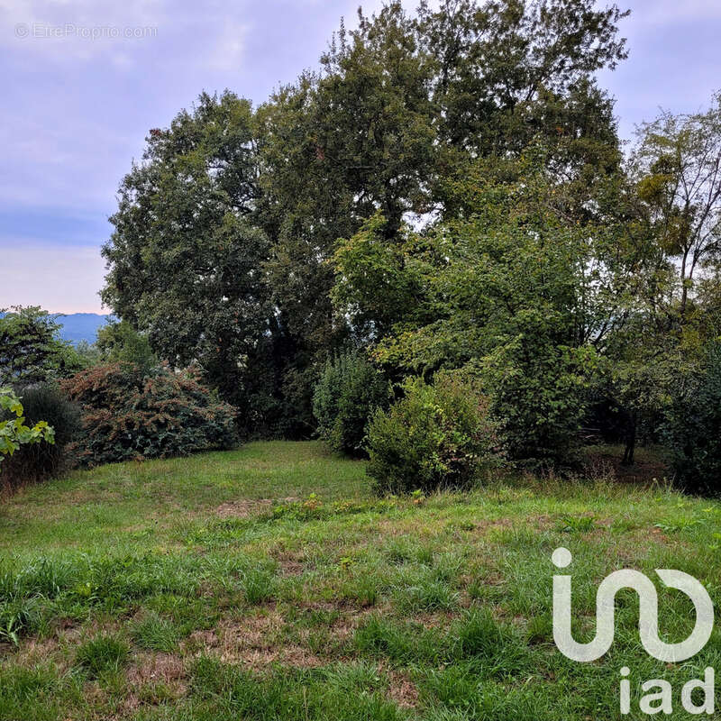 Photo 8 - Maison à PINEUILH