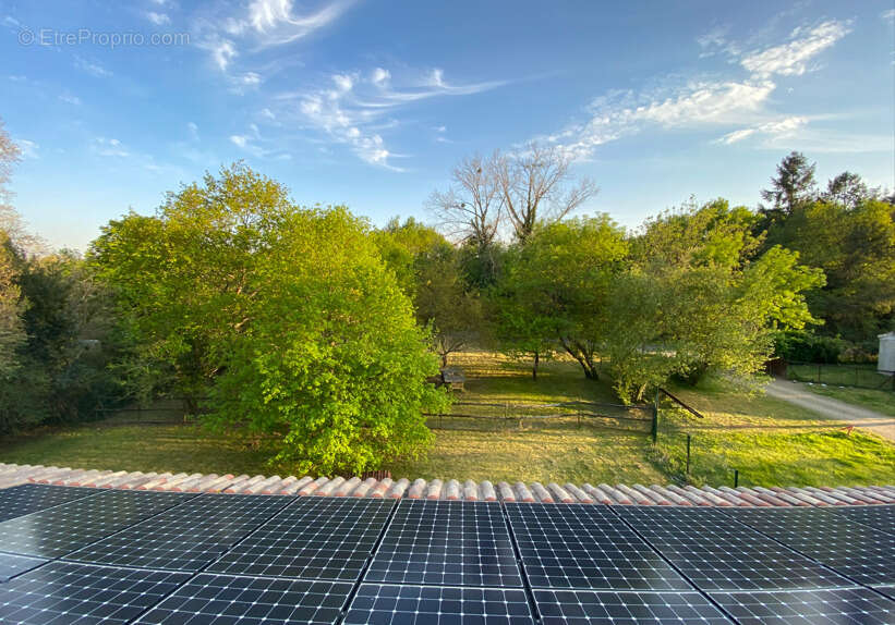 Autre à SAINT-CHRISTOLY-DE-BLAYE